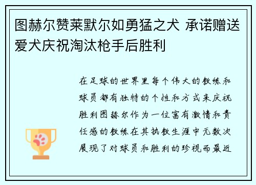 图赫尔赞莱默尔如勇猛之犬 承诺赠送爱犬庆祝淘汰枪手后胜利