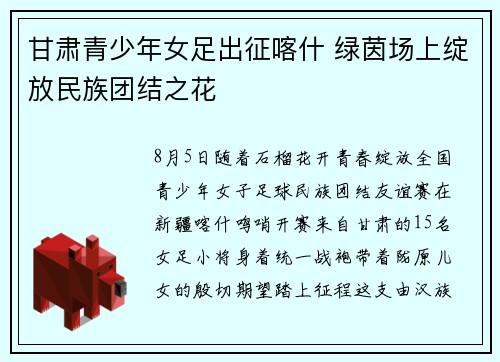 甘肃青少年女足出征喀什 绿茵场上绽放民族团结之花