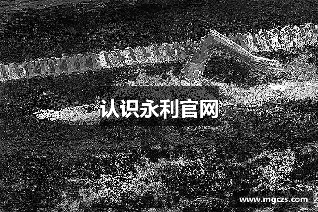 认识永利官网
